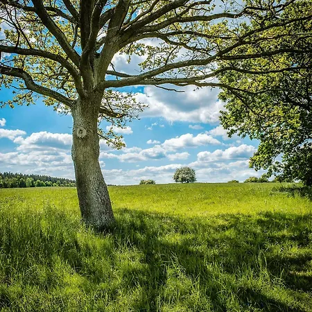 Historic In Secluded Nature *