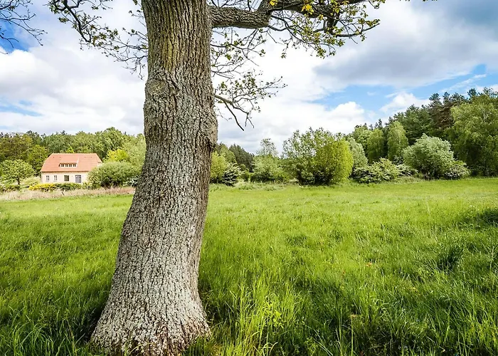 Historic In Secluded Nature Buchholz (Mecklenburg-Vorpommern)