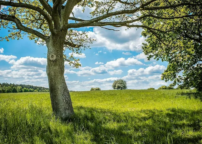 Historic In Secluded Nature *